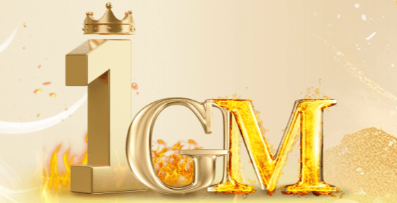 1GM